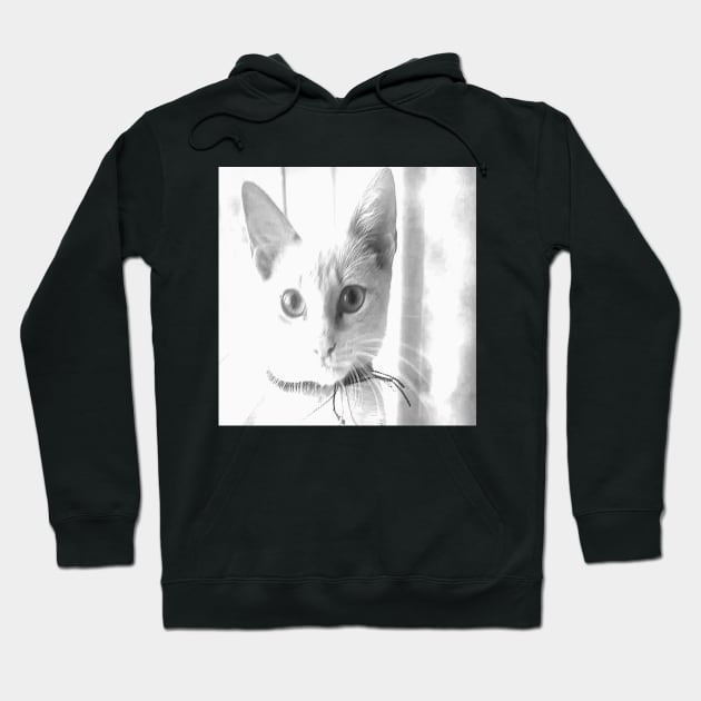 CAT REAL  II Hoodie by CATUNIVERSE